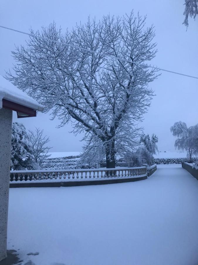 Lovely 2-Bed Cottage At The Foot Of The Mournes Newry Kültér fotó