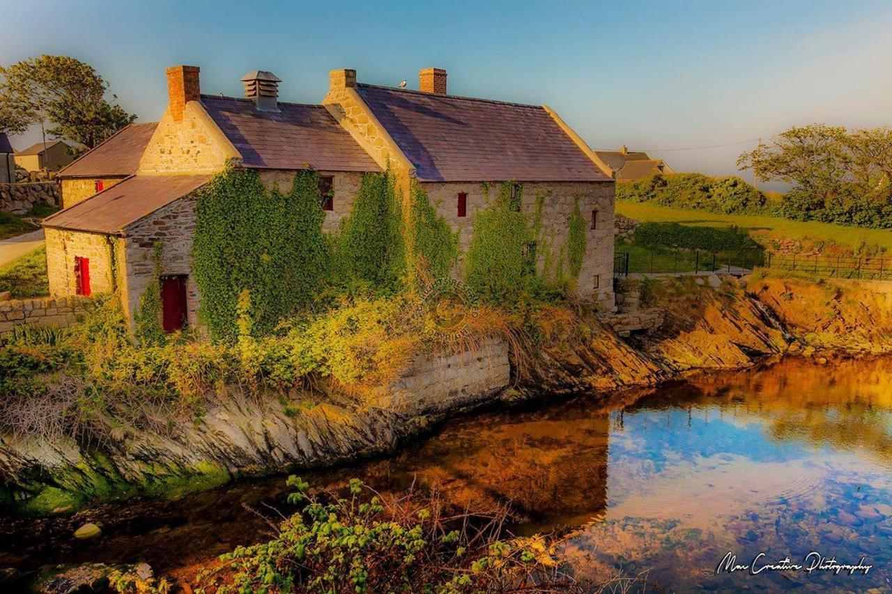 Lovely 2-Bed Cottage At The Foot Of The Mournes Newry Kültér fotó