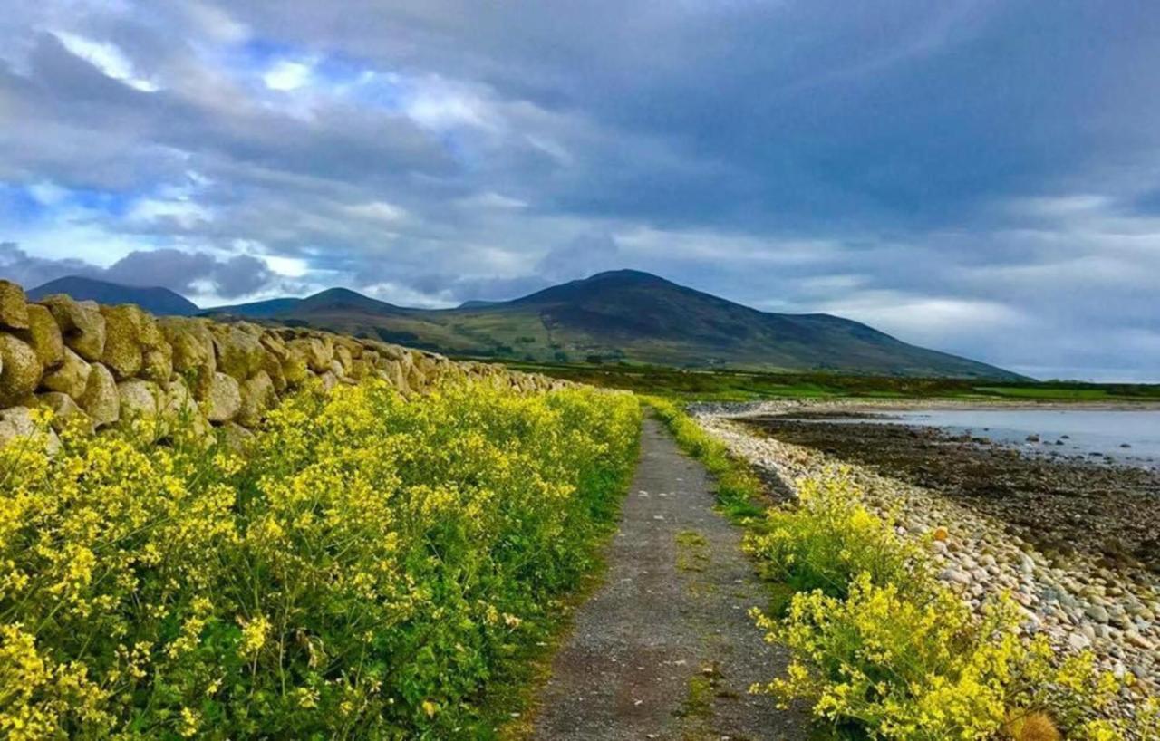 Lovely 2-Bed Cottage At The Foot Of The Mournes Newry Kültér fotó